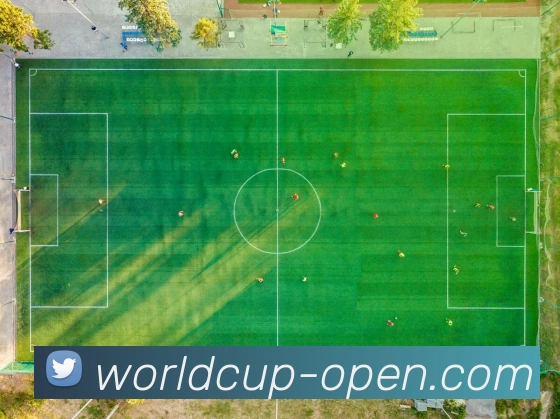 世界杯 账户安全守护示意图
